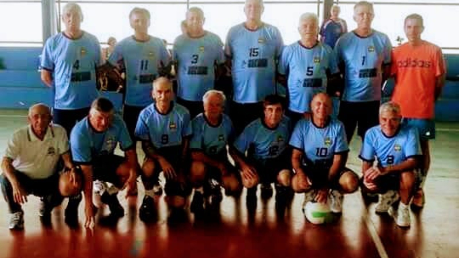 imagem7